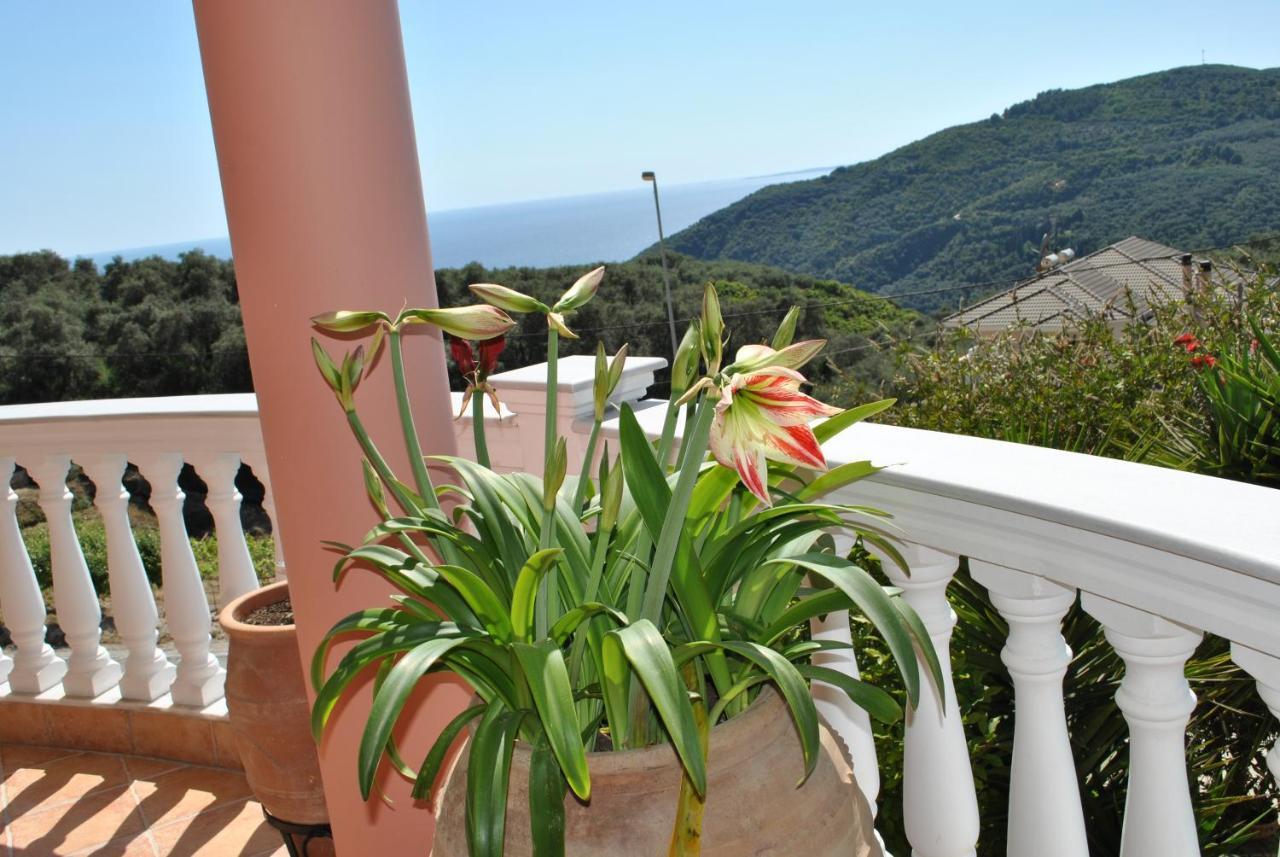 Appartement Amaryllis House à Parga Extérieur photo
