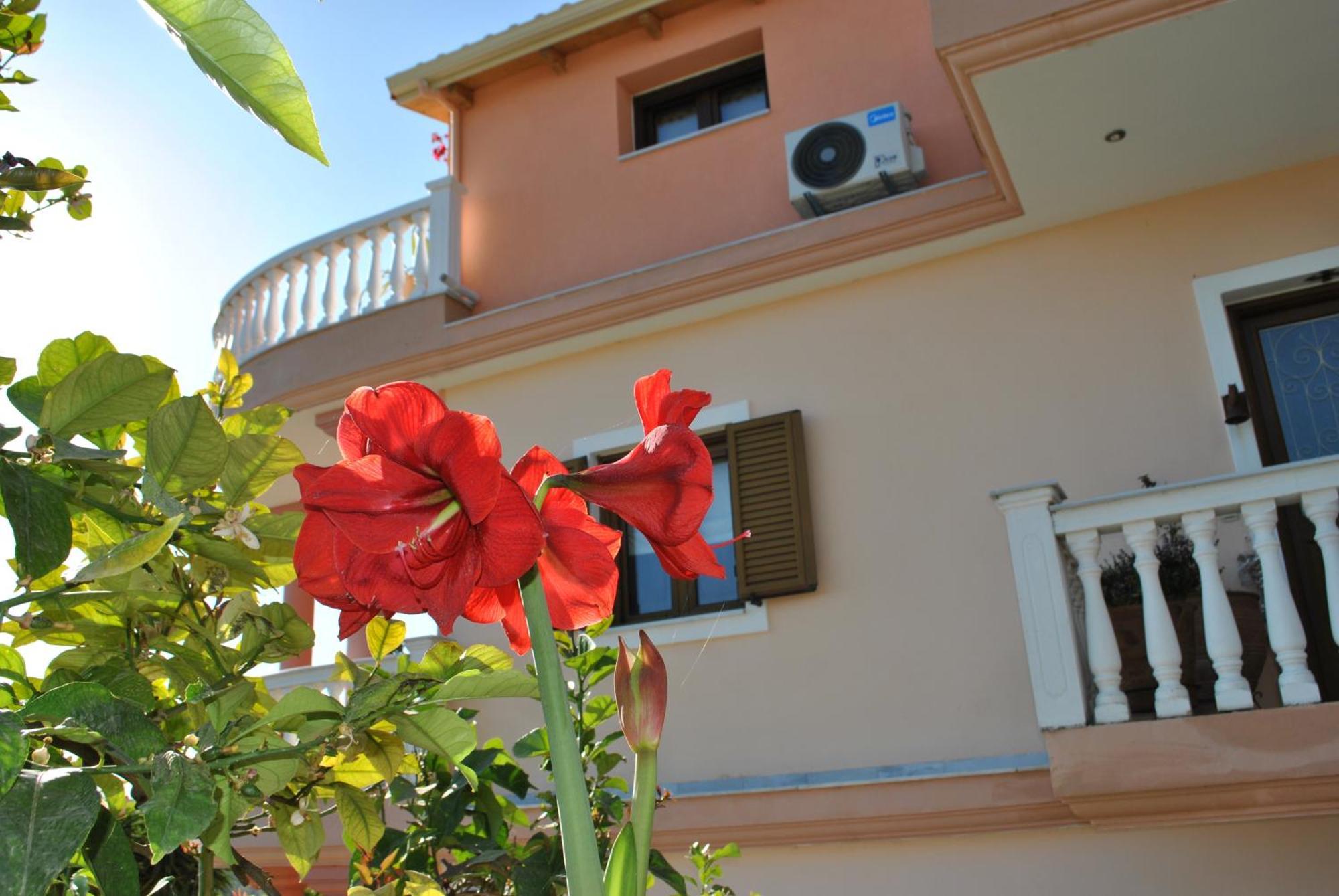 Appartement Amaryllis House à Parga Extérieur photo