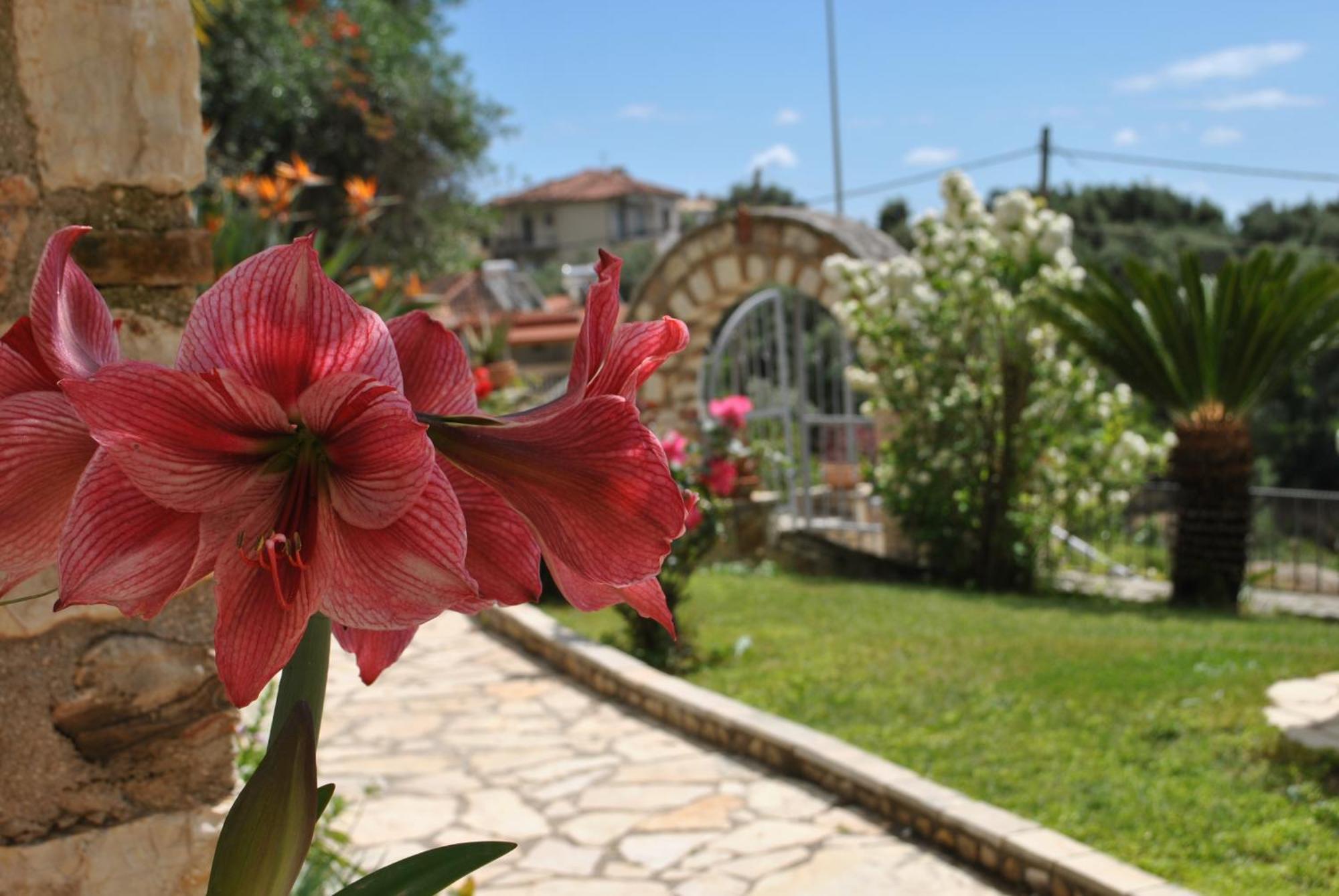 Appartement Amaryllis House à Parga Extérieur photo